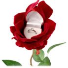 Diamond-Cut-Finger-Ring-with-Rose-Gift-Box-image4