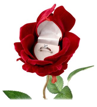 Diamond-Cut-Finger-Ring-with-Rose-Gift-Box-image4